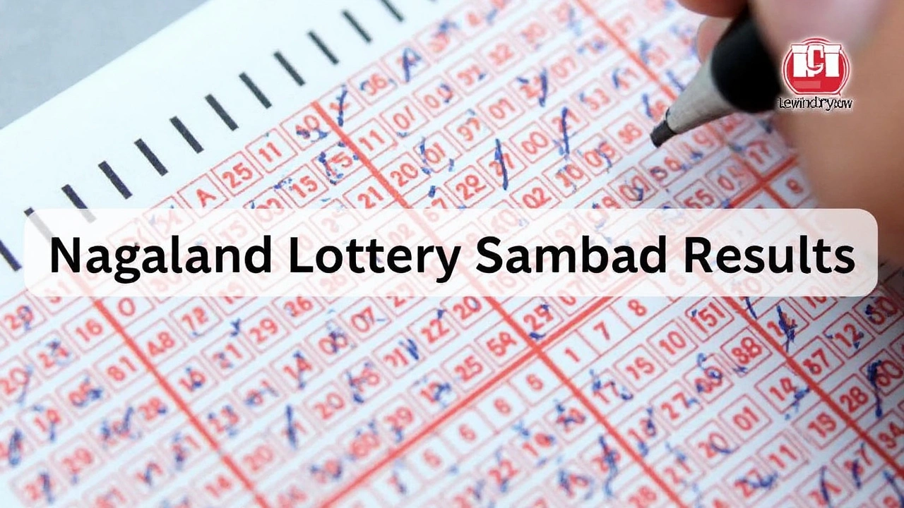 Punjab State Holi Bumper Lottery 2025: Winner Takes Home ₹2.50 Crore First Prize