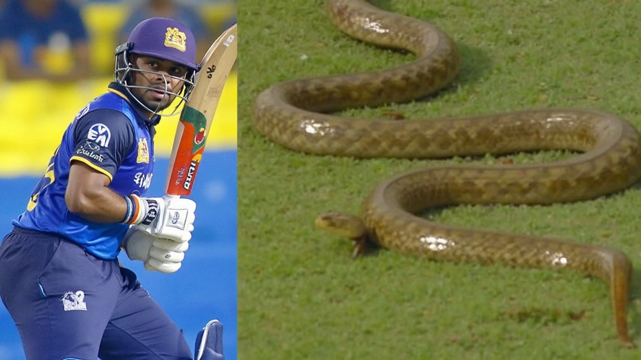 Snake on the Pitch: 7-Foot Intruder Causes Drama in Sri Lanka vs Bangladesh ODI